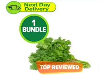 Dhanyan (Premium Cilantro) (1 bundle)