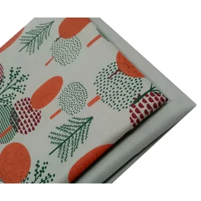 Ghazi fabric Rungrez Collection Unstitched 2 piece suit for women Linen Light Green Suit