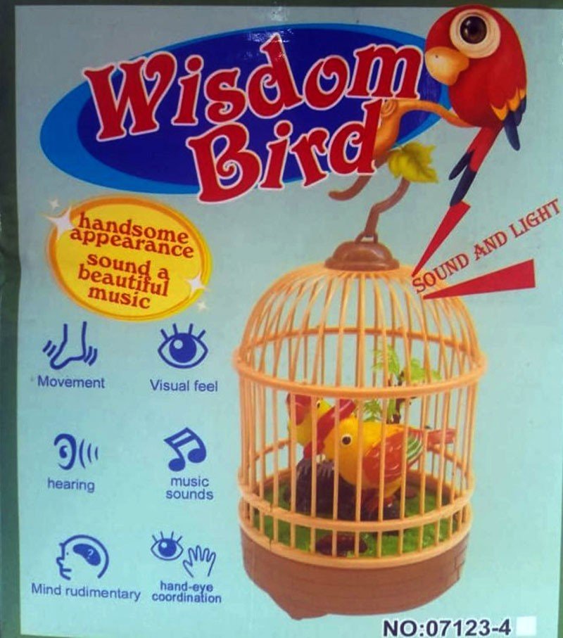 Wisdom Bird Pet Toy Voice Activated Musical