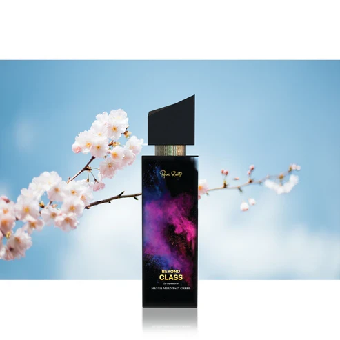 Beyond Class Inspired by Silver Mountain .unisex