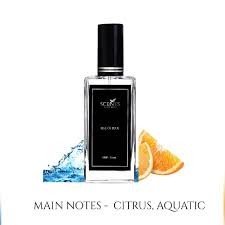 Rise of Blue | Inspired By Bvlgari Aqua