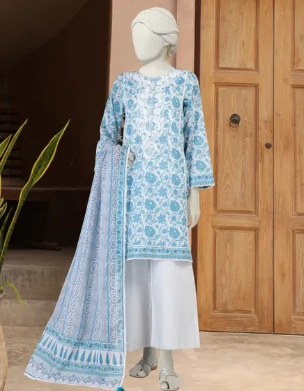 MULTICOLOR LAWN EMBROIDERED 3PC | JLAWN-S-25-3298-B